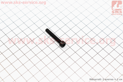 Болт M5x30
