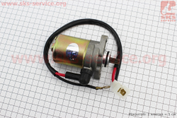 Стартер в сборе